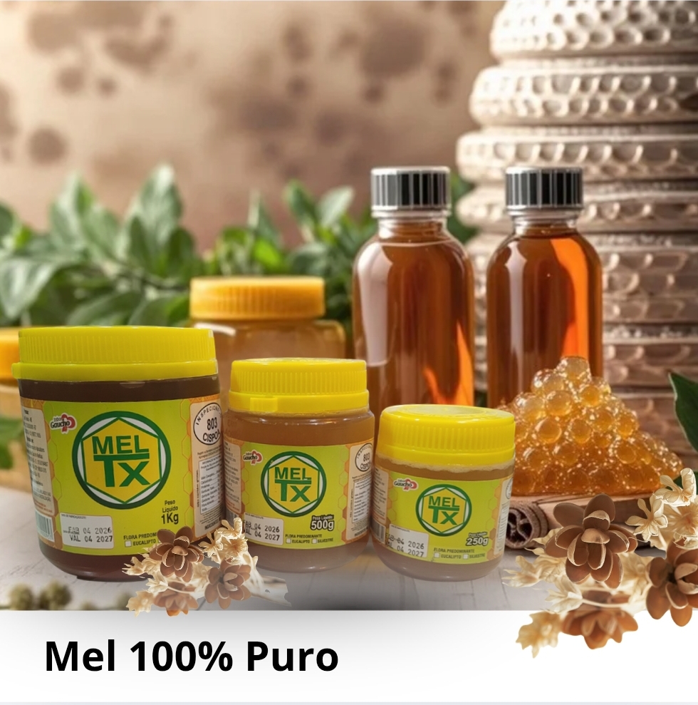 Mel TX- 100% Puro 1Kg - Caçapava do Sul/RS